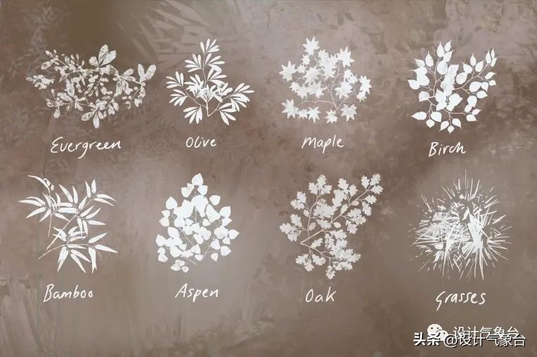 ipad上一些基础的笔刷,ipad笔刷推荐