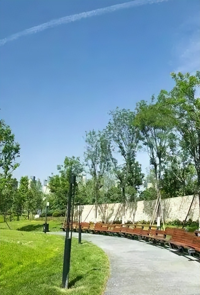 骑行打卡景点,湿地骑行观风景