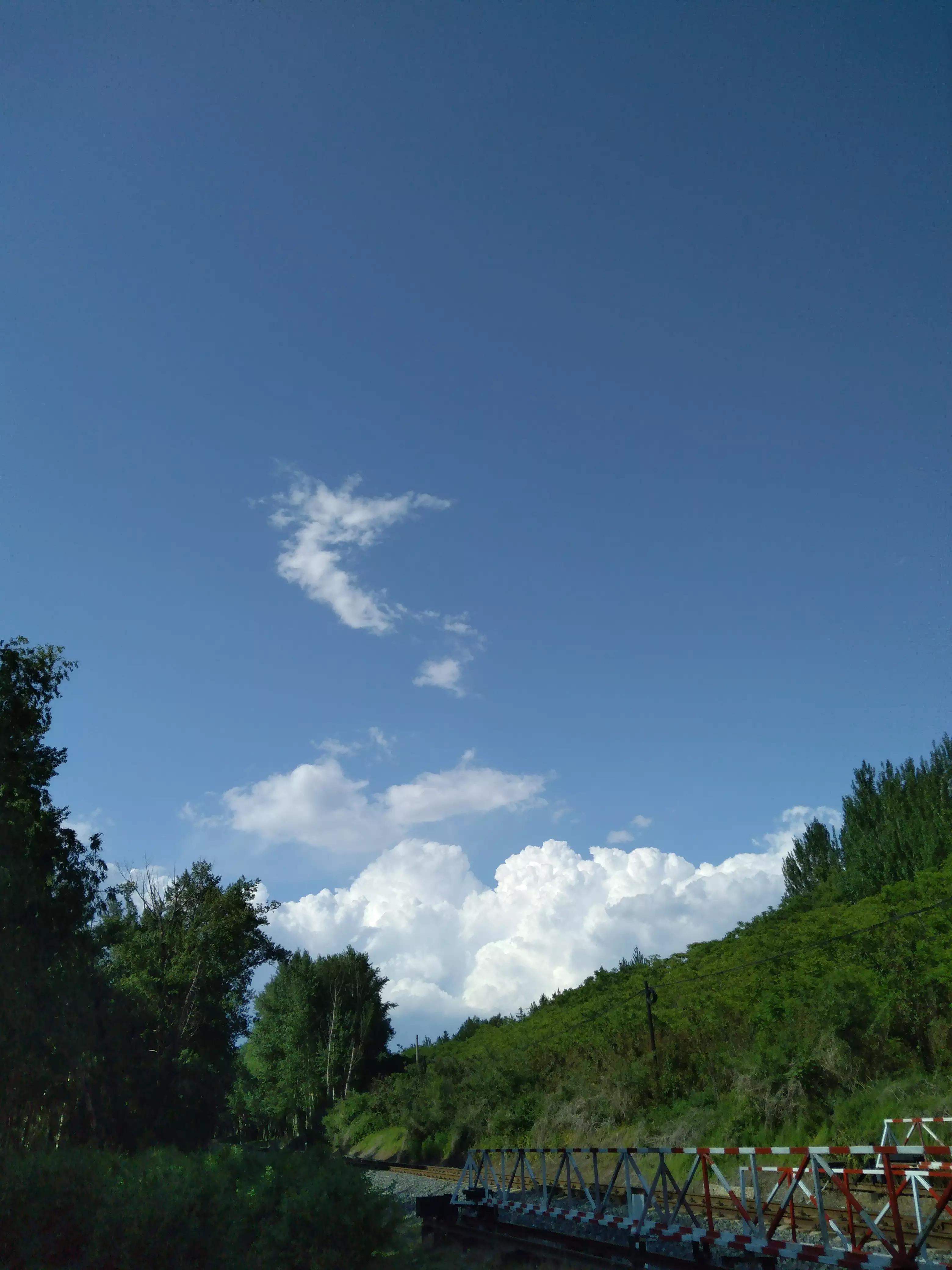 让花成花让树成树成为自己,让花成花让树成树让自己成为自己