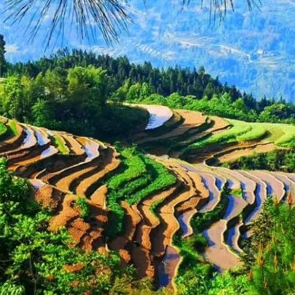 重庆綦江郭扶高庙视频,重庆綦江郭扶抬龙杠视频