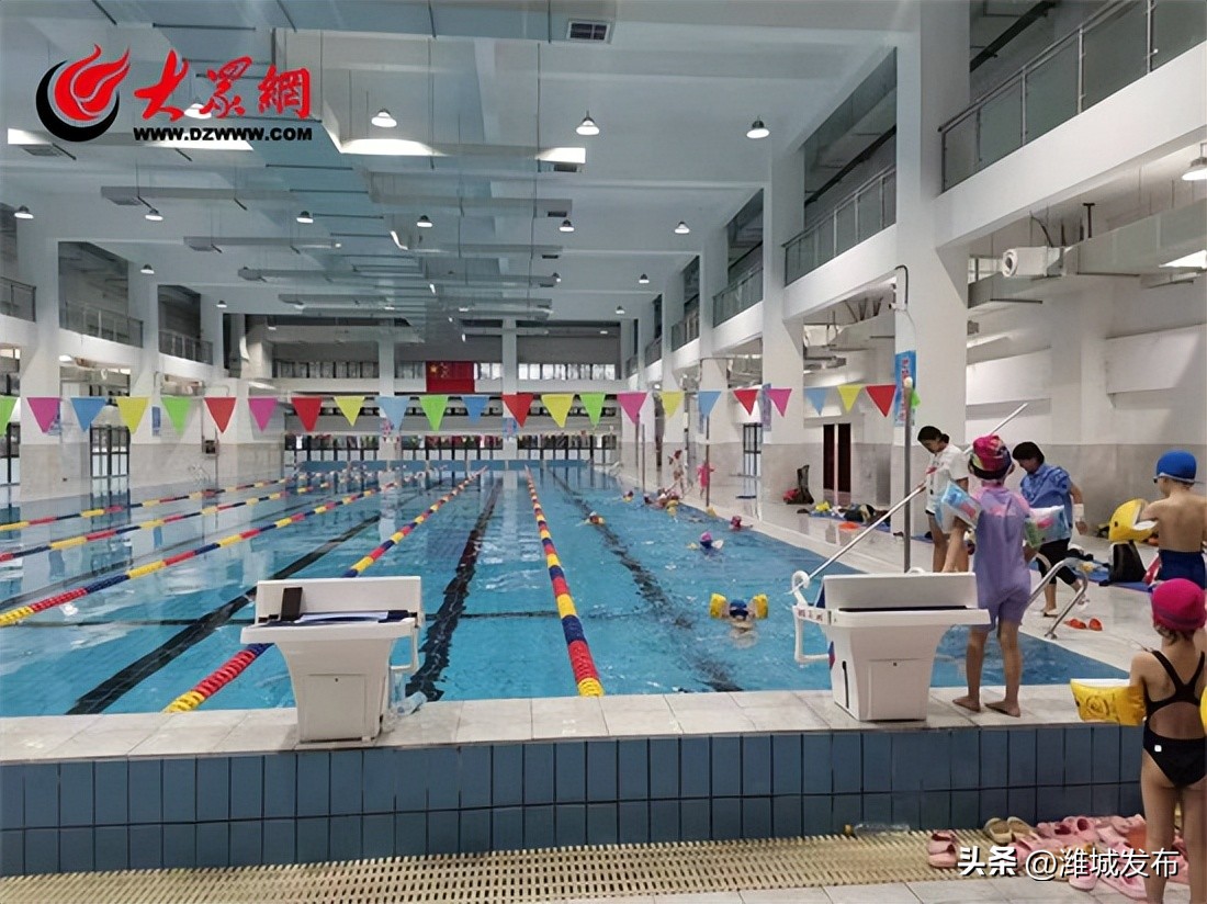 潍坊智群学校游泳,潍城智群游泳培训