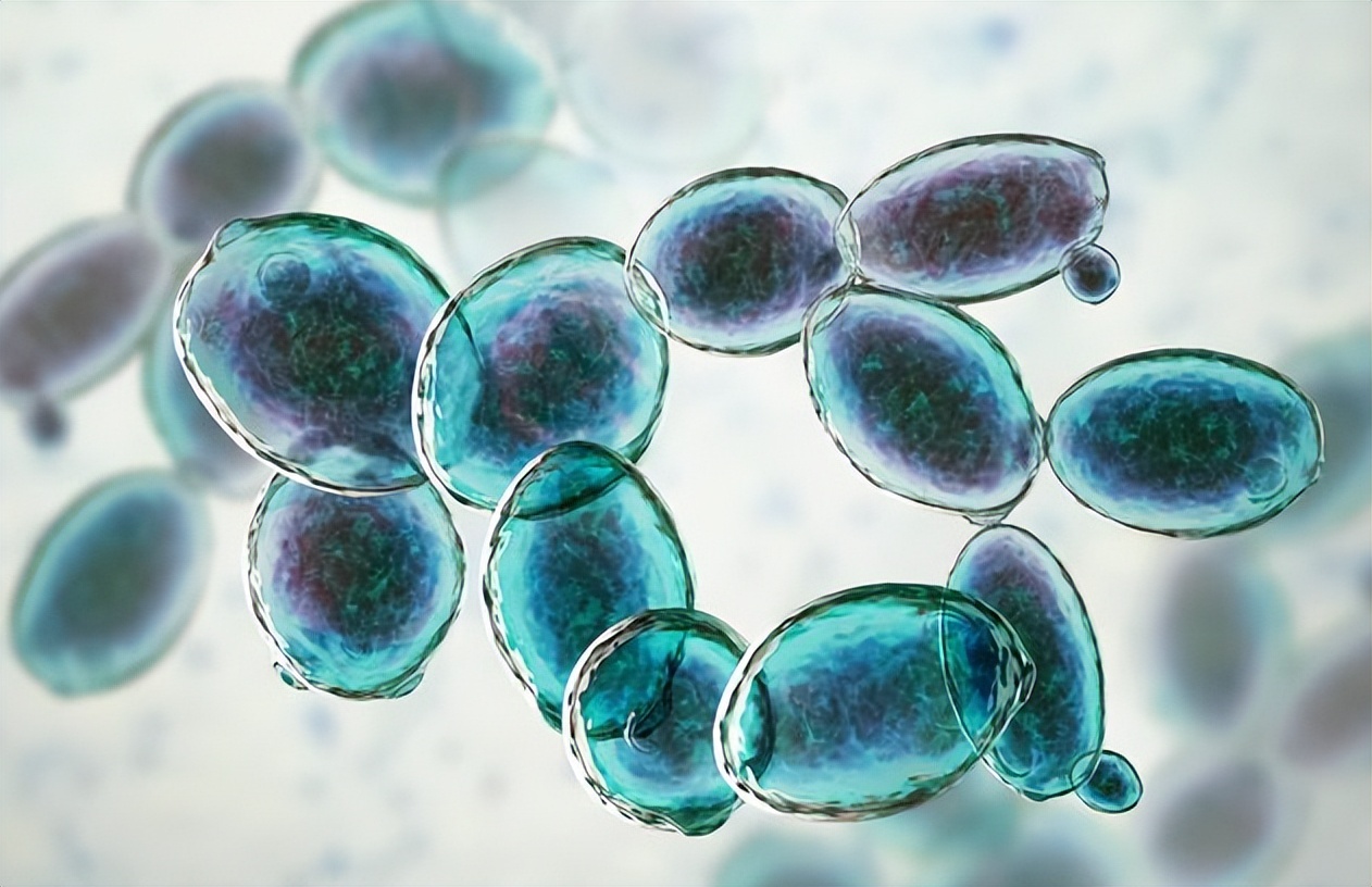 粮食中真菌的检测,粮食中真菌毒素检测的优缺点