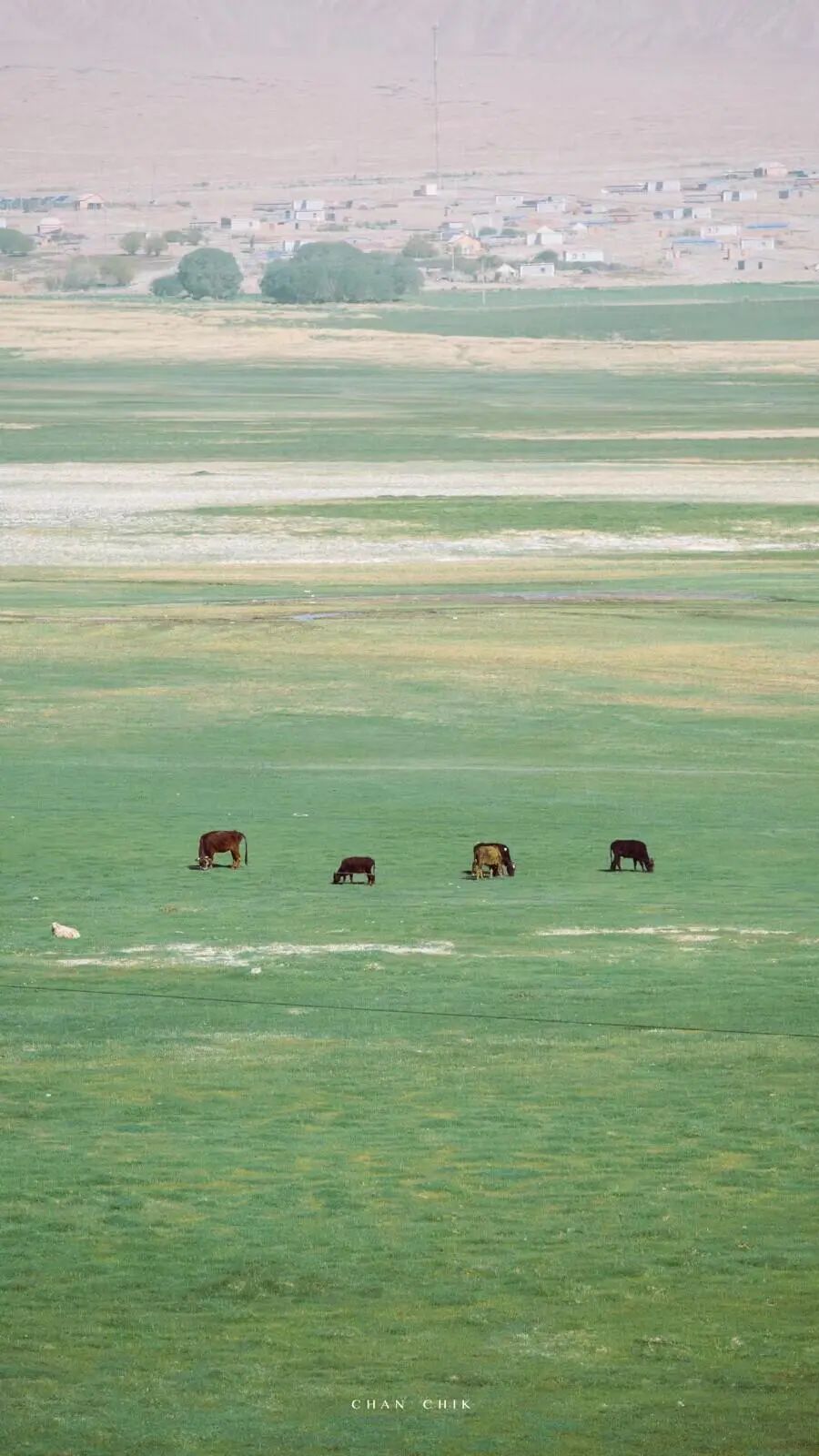 100张全屏绿色山水护眼壁纸,2021超清绿色护眼壁纸风景