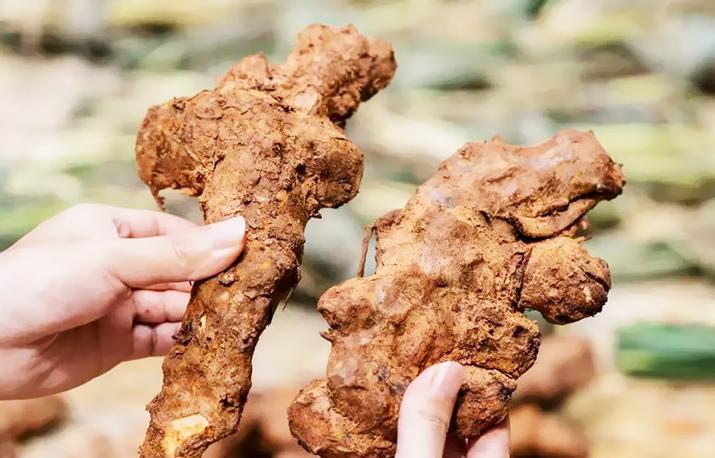 盆腔炎喝水腹痛加重,盆腔炎腹痛难忍打消炎药好吗