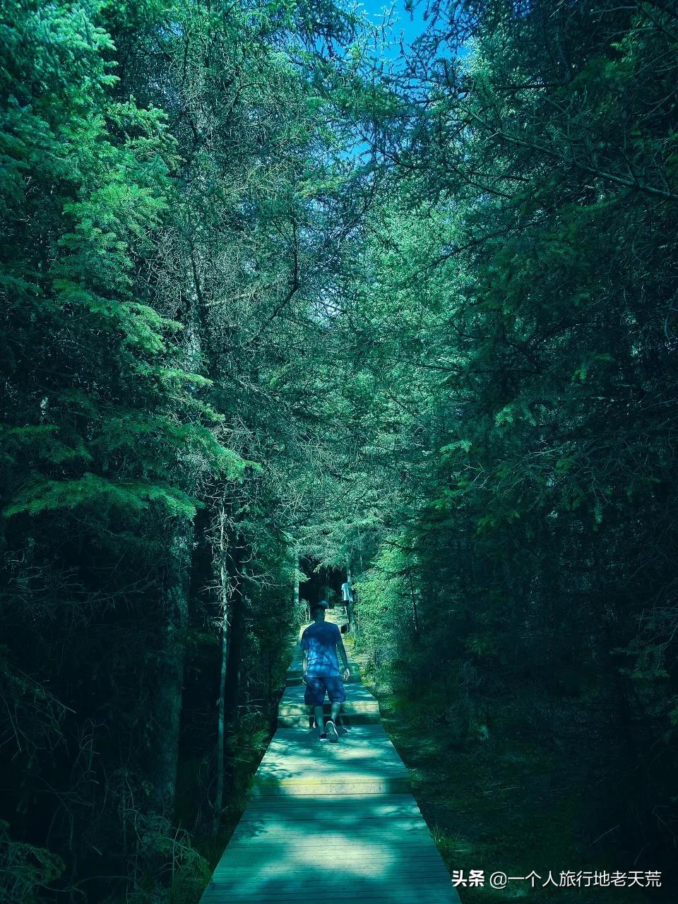 亚洲旅游胜地甘肃,甘肃被评为亚洲最佳旅游地之首