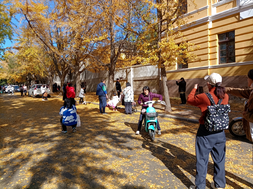 东北关东军司令部旧址,关东军司令部旧址在什么地方