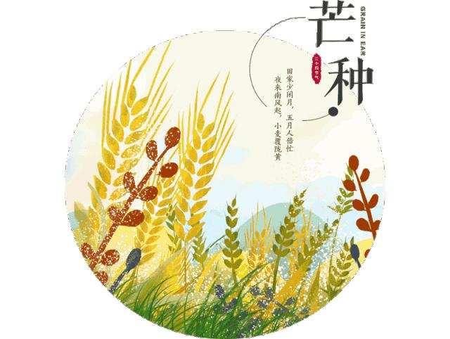 芒种悟人生的诗句,关于芒种的诗句汇集