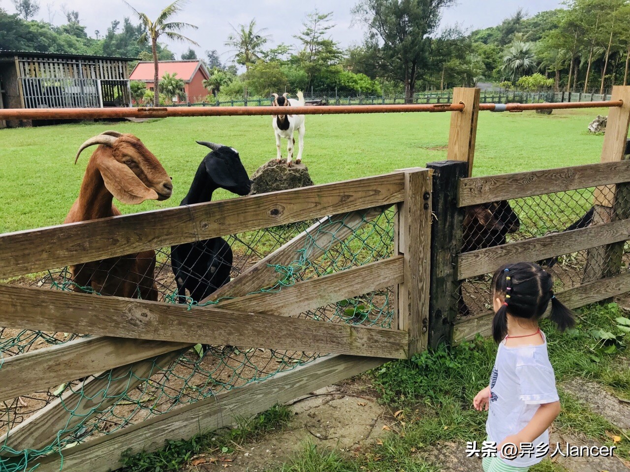 家庭农场：是否能成为乡村致富的新风口？