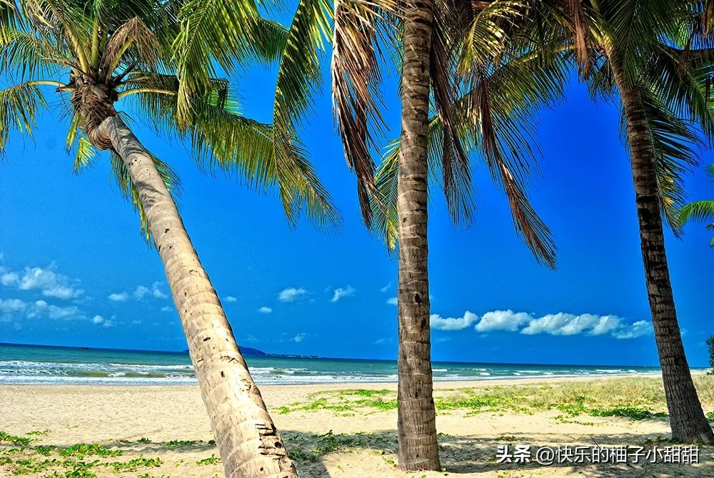 中国最“懒”的省份，拒绝加班，午睡3小时，却稳居全国长寿Top1