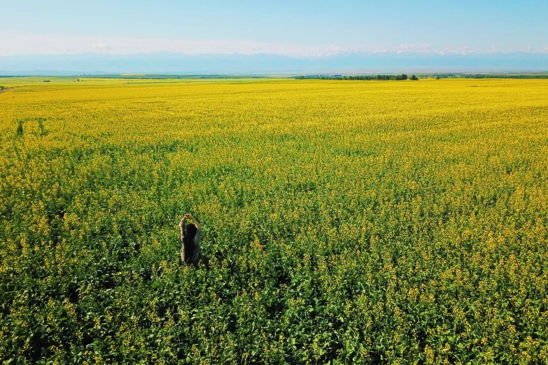 从伊犁出发的南北疆旅游攻略,火爆的新疆游