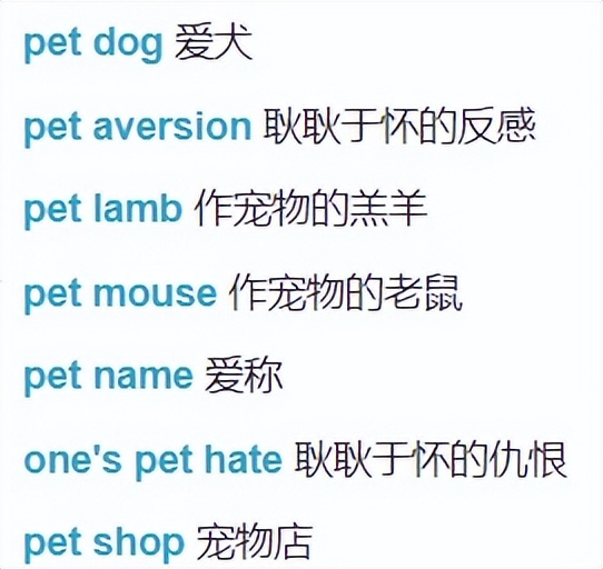 小学英语单词打卡,小学英语单词默写打卡