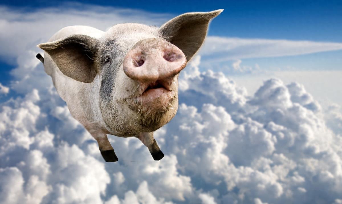 结婚没钱怎么募捐,朋友结婚没给钱可以补吗