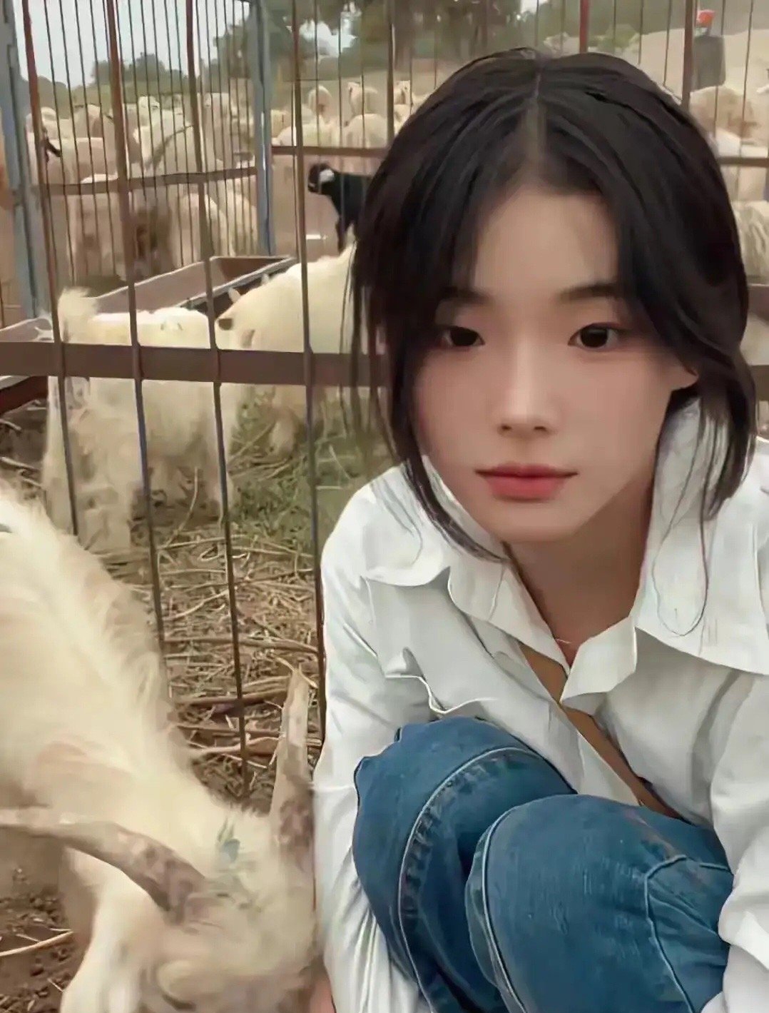 网红灰太狼的羊丈夫发声,网红灰太狼的羊女孩自曝被家暴