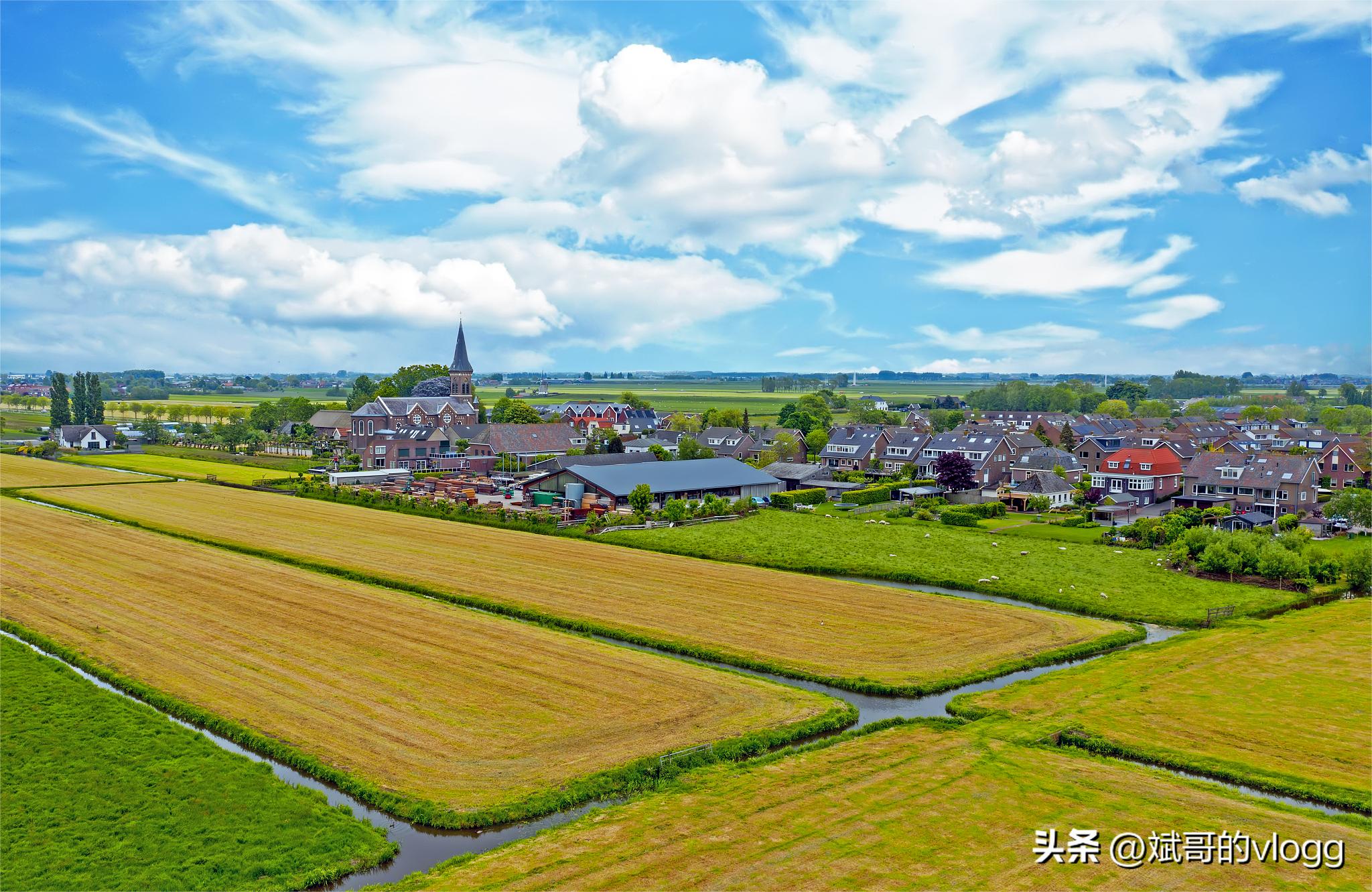 农民闯市场指南,农民如何闯市场