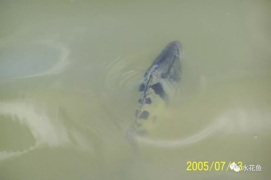 姘翠骇鍏绘畺鍒嗗瓙姘ㄥ拰绂诲瓙姘ㄧ殑鍖哄埆,璁よ瘑姘翠骇鍏绘畺