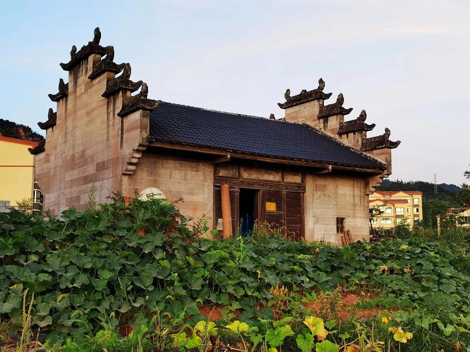 稻菽飘香各地丰收忙,稻菽飘香图片