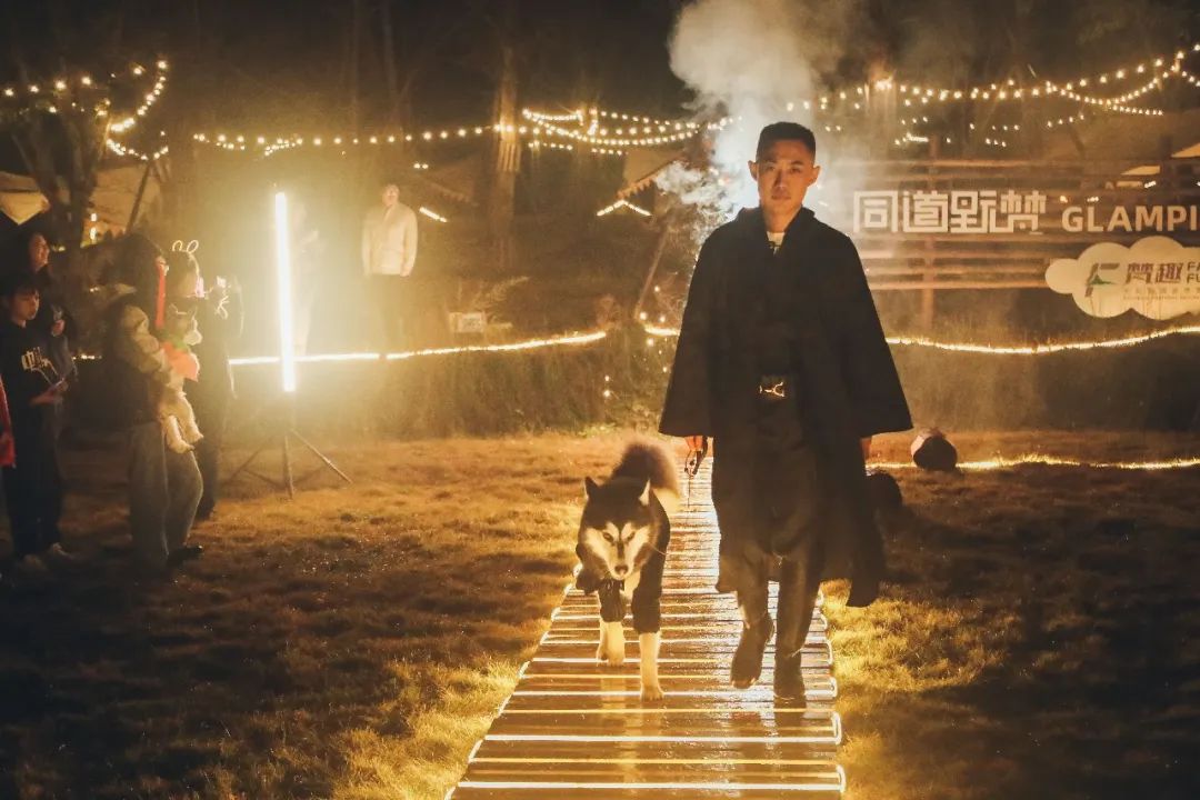 萌宠万圣狂欢夜,萌宠露营云龙区