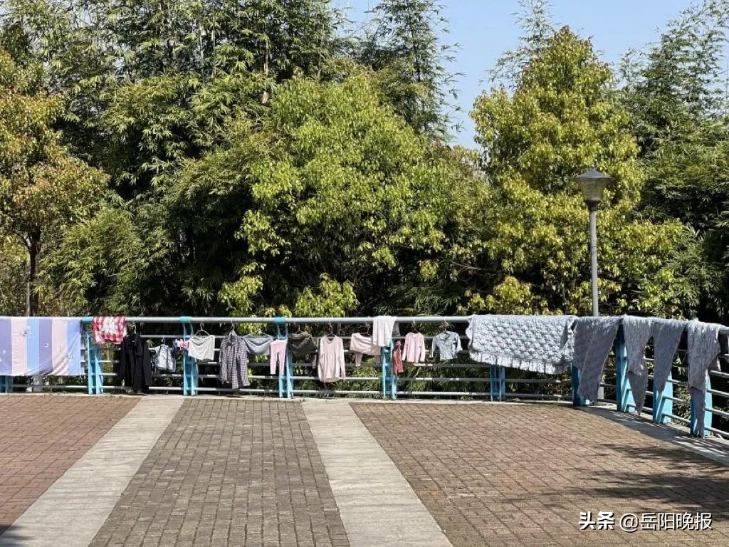 平江扫黄新闻最新消息今天,津市不文明行为曝光