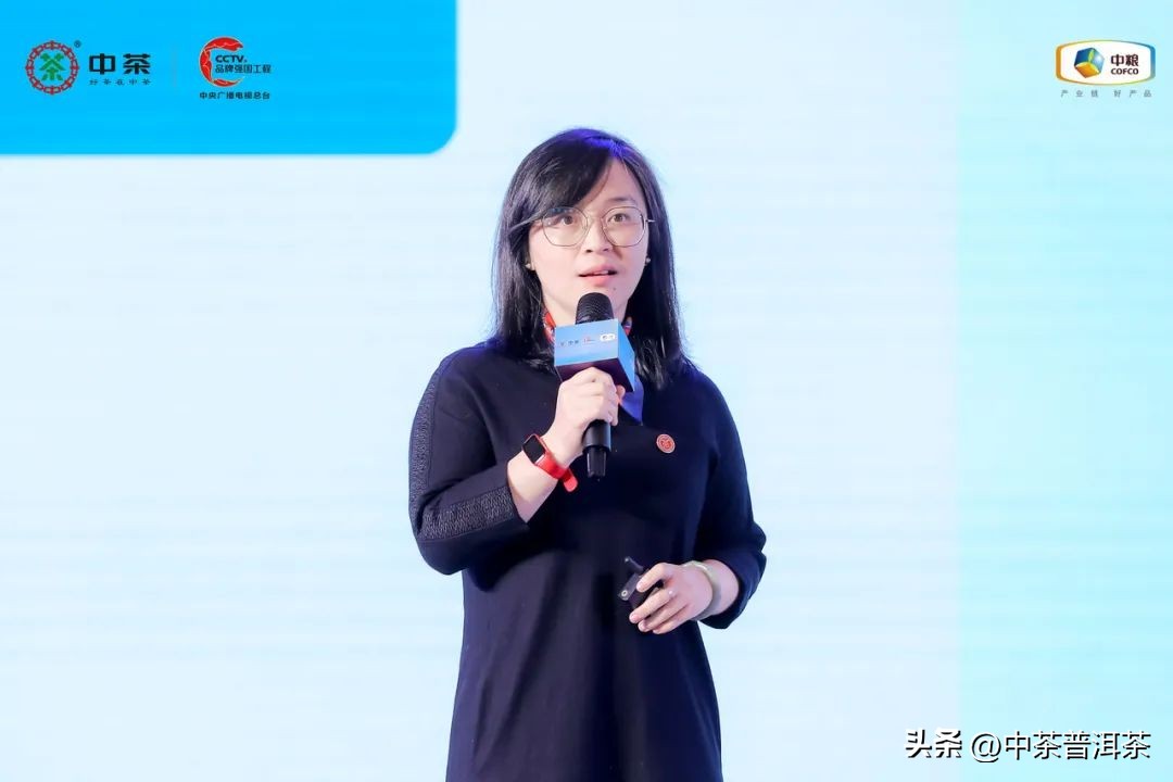 中茶普洱茶经销商信息大会,中茶2024年经销商大会