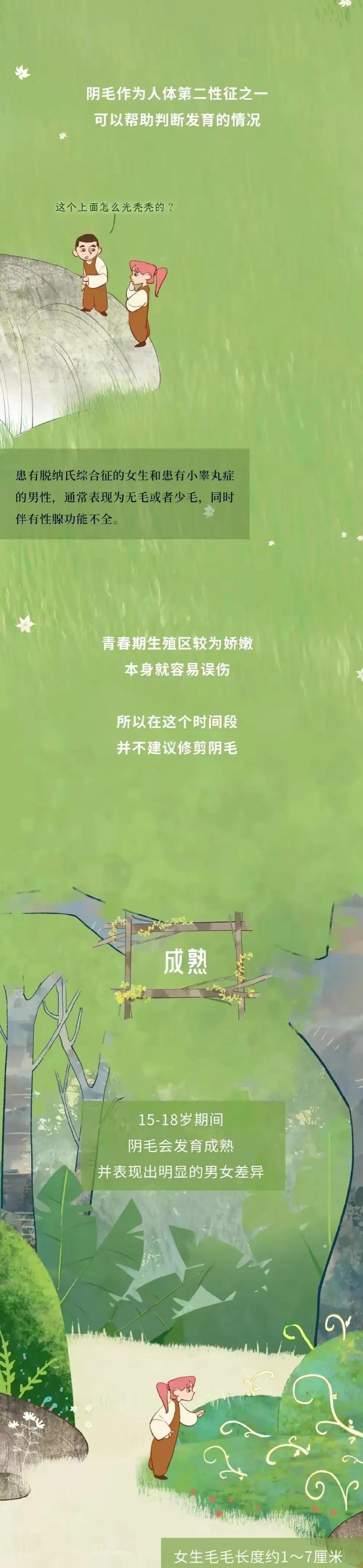 漫画分享：人类阴毛从出生到脱落全过程解析！