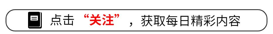 17世纪荷兰殖民情况,17世纪荷兰和英国
