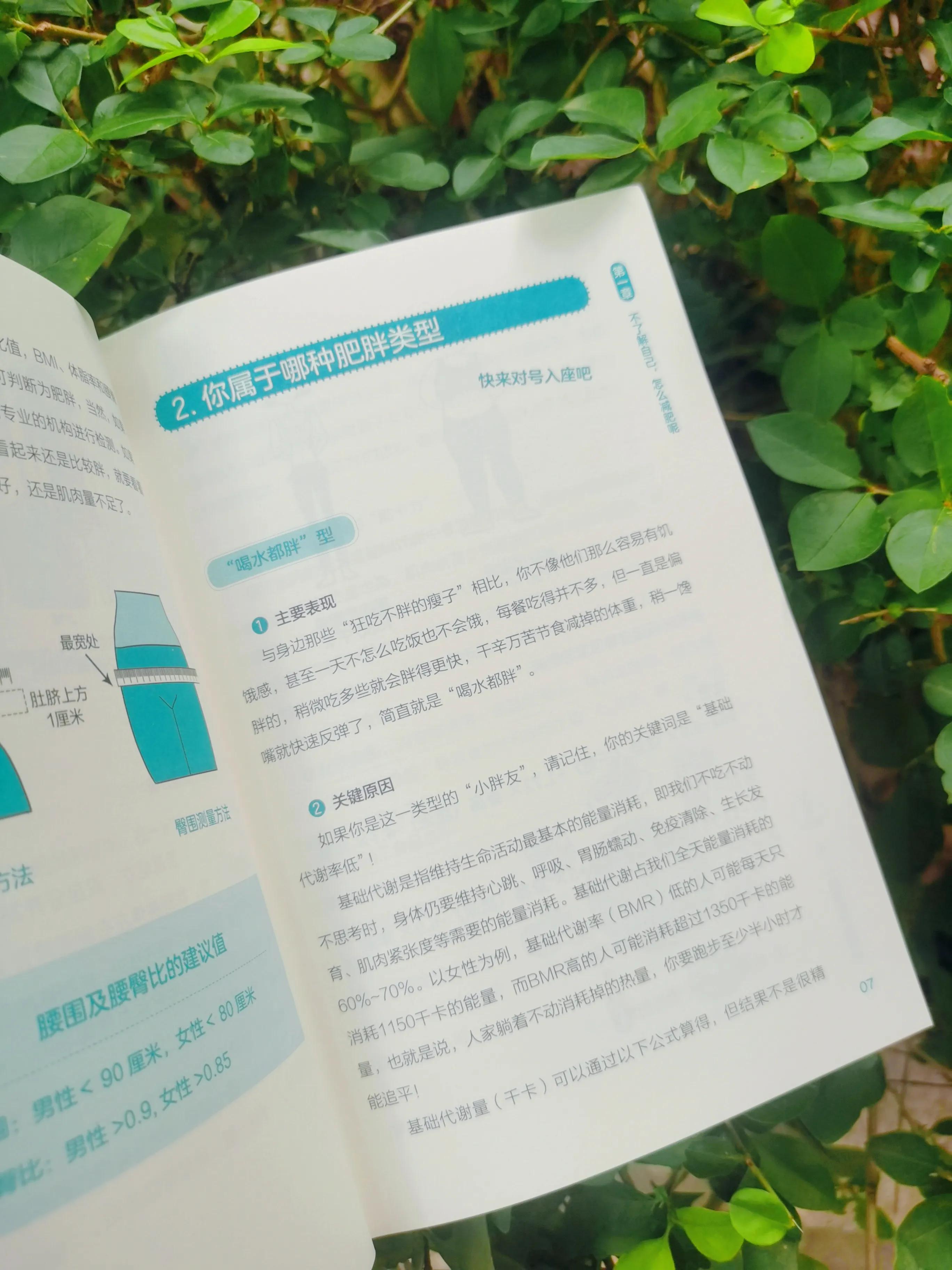 揭秘不节食不运动的减肥绝招,容易坚持且高效的减肥经验心得