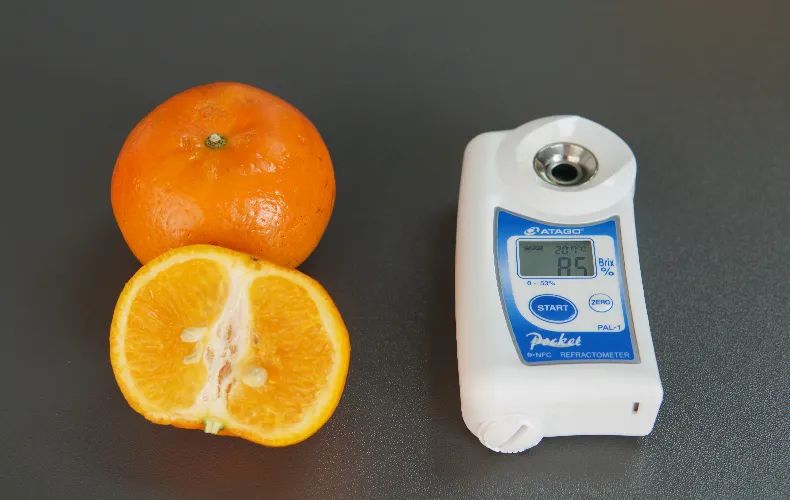 爱情的甜你尝过没,爱情的甜尝不了