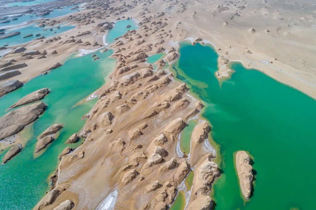 我愿和你一起奔赴理想和未来,我愿背上行囊随你去远方