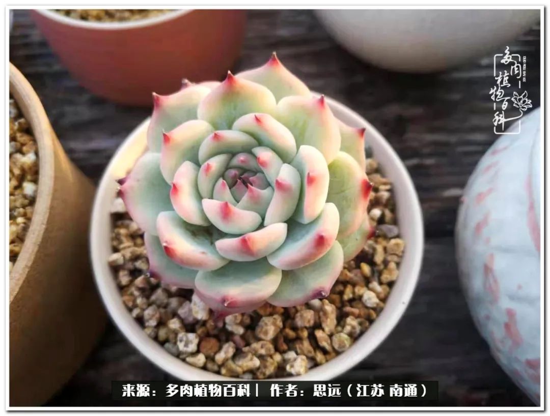 隔着时间的深爱，来自秋天的私语