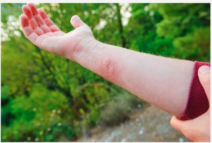 花2万元买的老房子,花2万买一套老房子