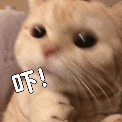 sos儿童,sos孩子什么意思