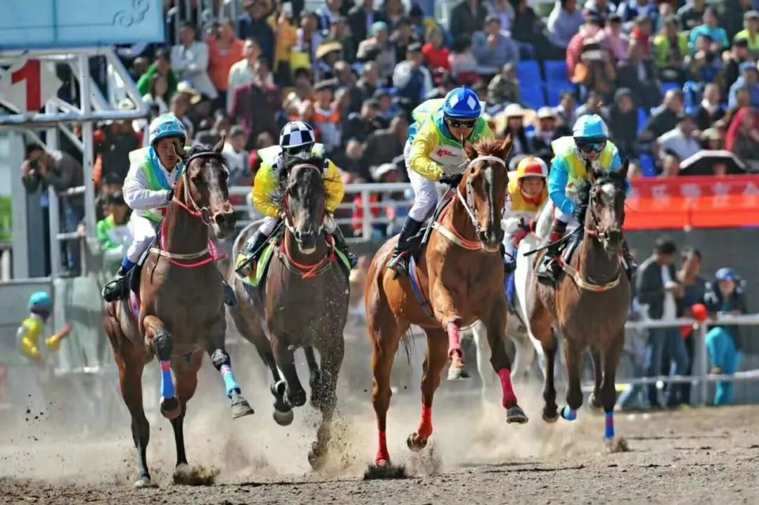 大理州教育体育,大理市教育体育局十四五规划