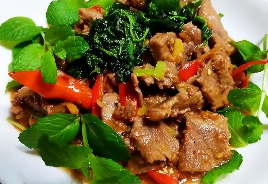 家里长一盆薄荷的好处,家里养一盆薄荷有什么好处