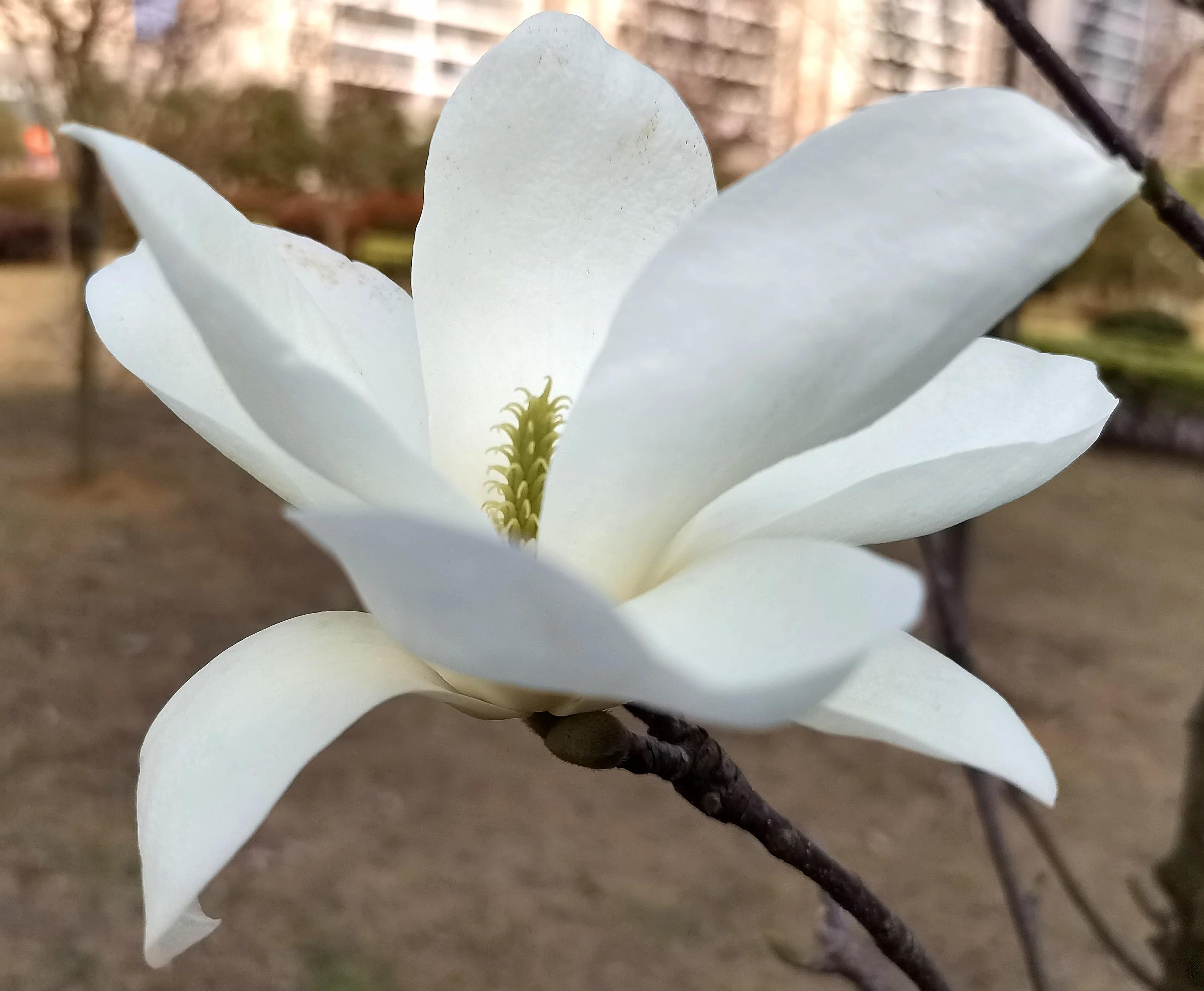 当一个科室主任要有的条件,当办公室主任要面临的问题