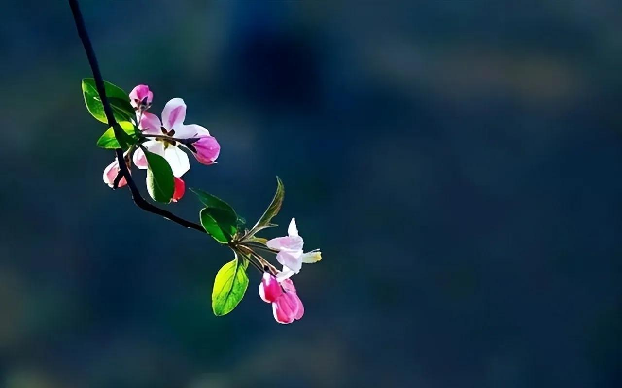 今后不要再问别人“我这个人怎么样”