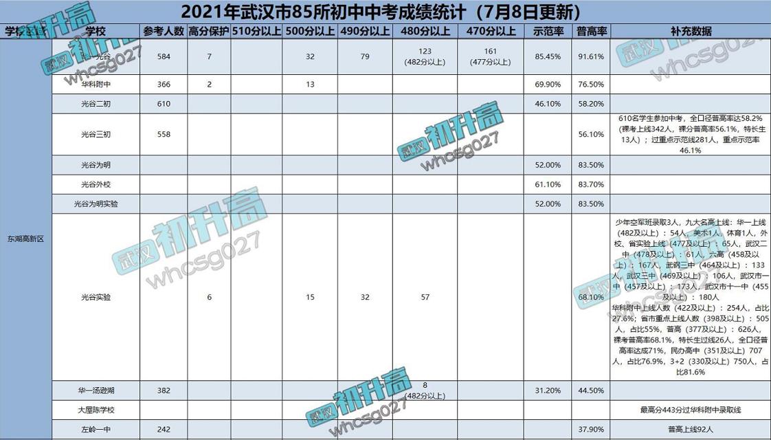 武汉光谷教育格局,武汉东湖高新区小学能择校吗