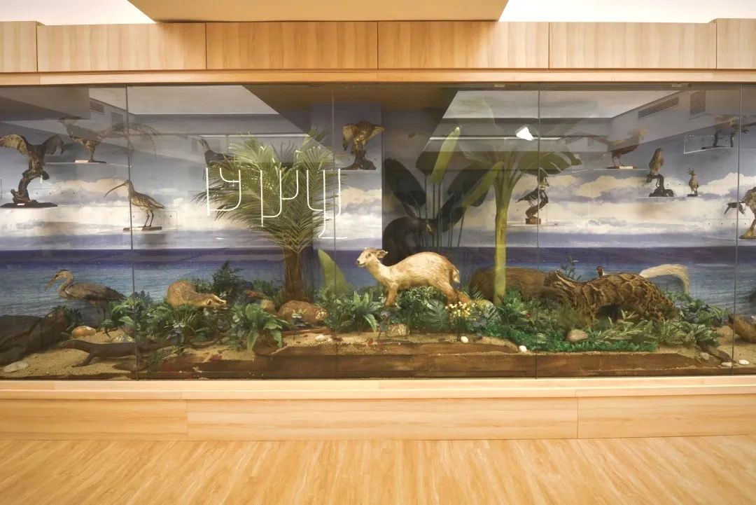 特色高中、生态科研，上海师大二附中的教育崛起之路