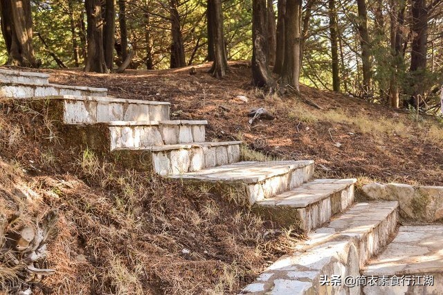 她做保姆这些年豪门生活鸡飞狗跳,豪门保姆400