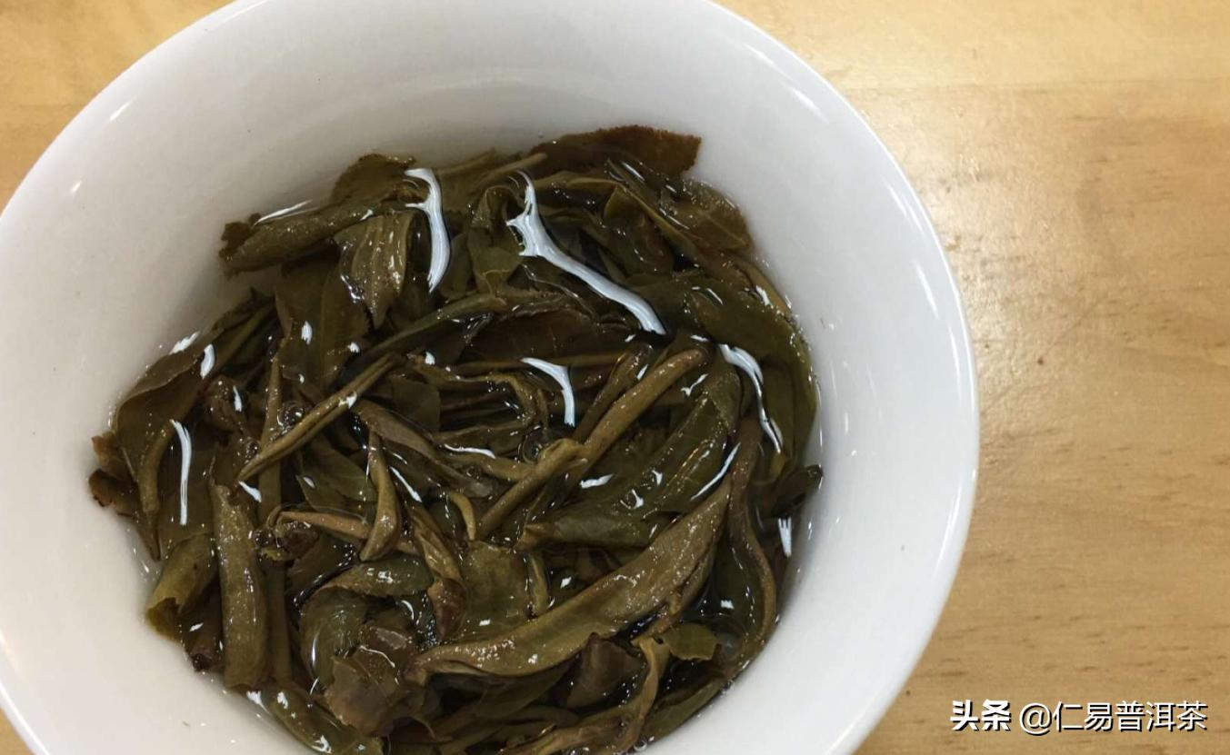 冰岛鼎盛时期版图,冰岛茶博会进展