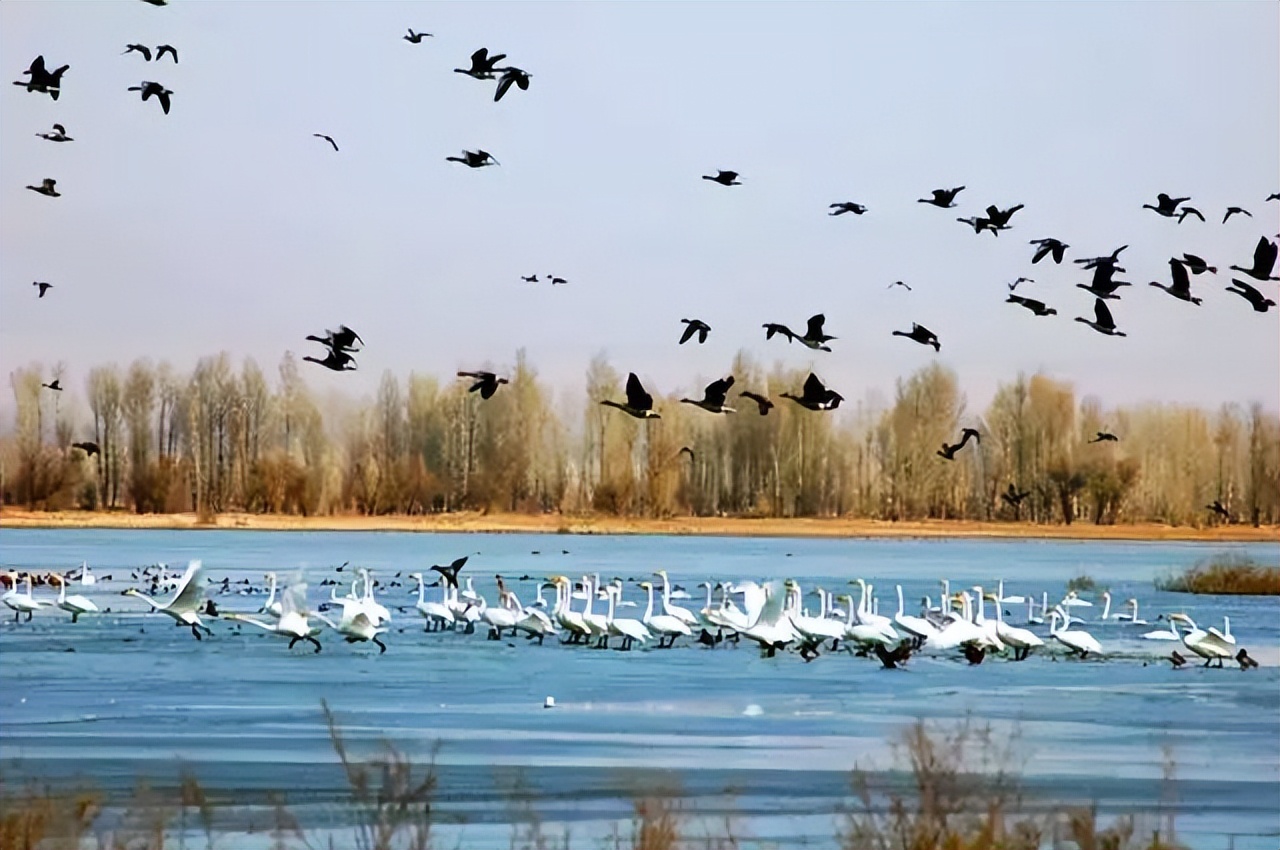 去甘肃旅游最值得去的十大景点 (甘肃16个最值得去的旅游景点)
