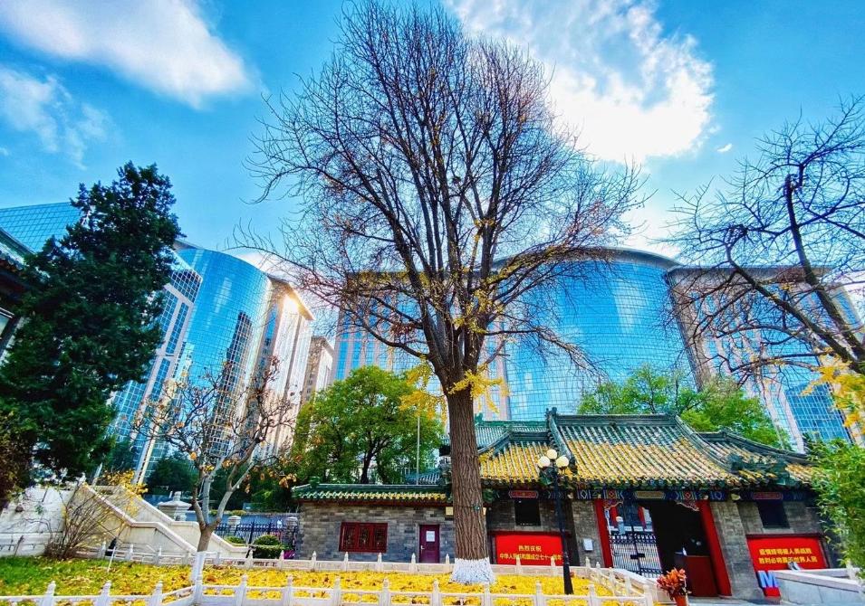 全国前100所医药大学排名,医药类大学全国排名含985