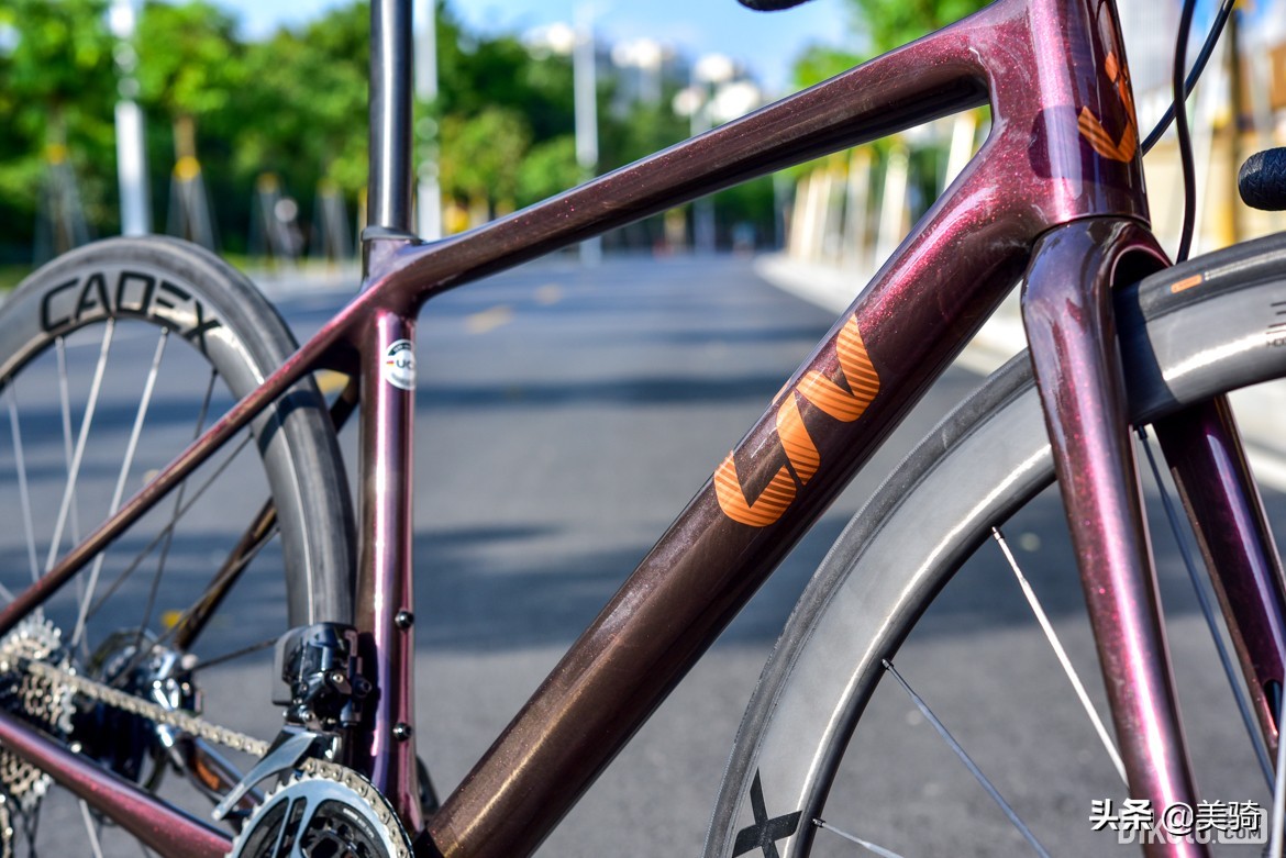 2021金单车奖丨7款优秀自行车产品揭晓