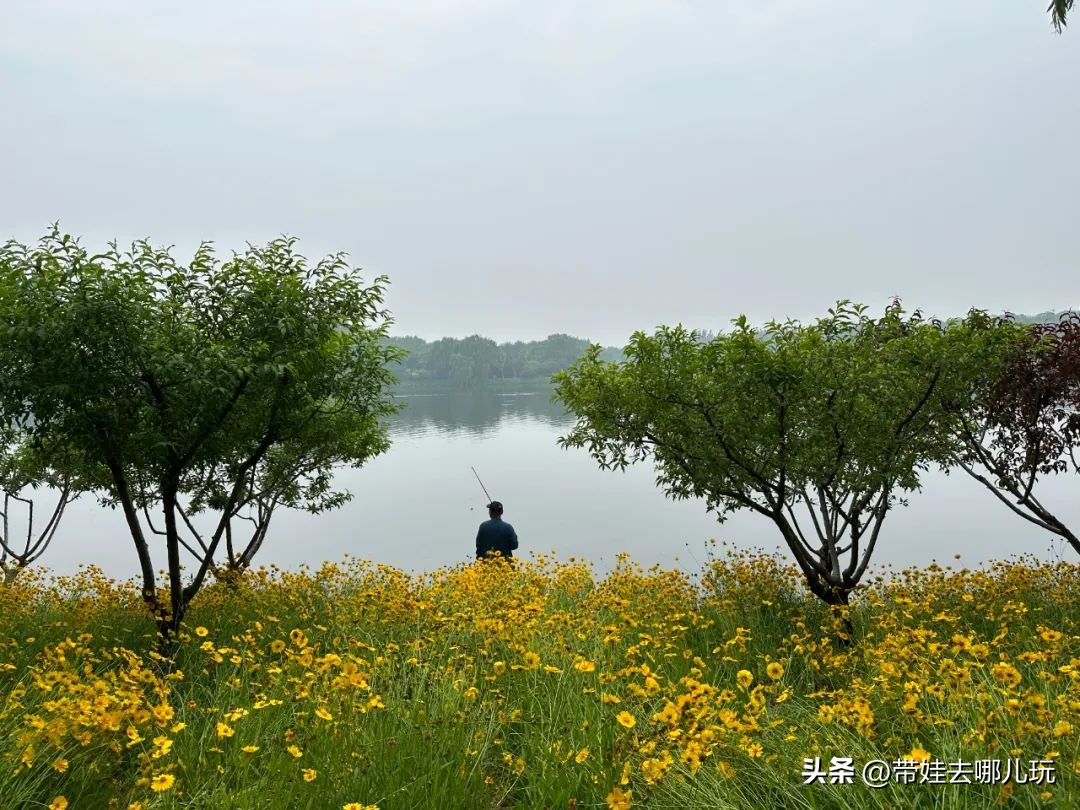 可搭帐篷公园,可以骑车搭帐篷的公园