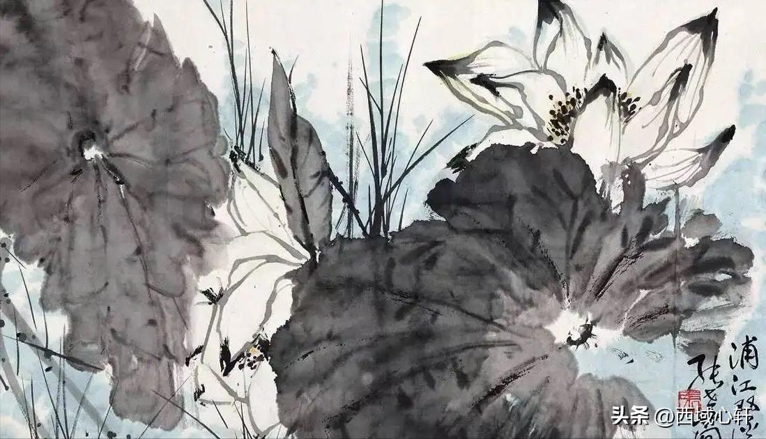 接天莲叶无穷碧映日荷花图片大全,莲叶无穷碧映日荷花别样红三幅图