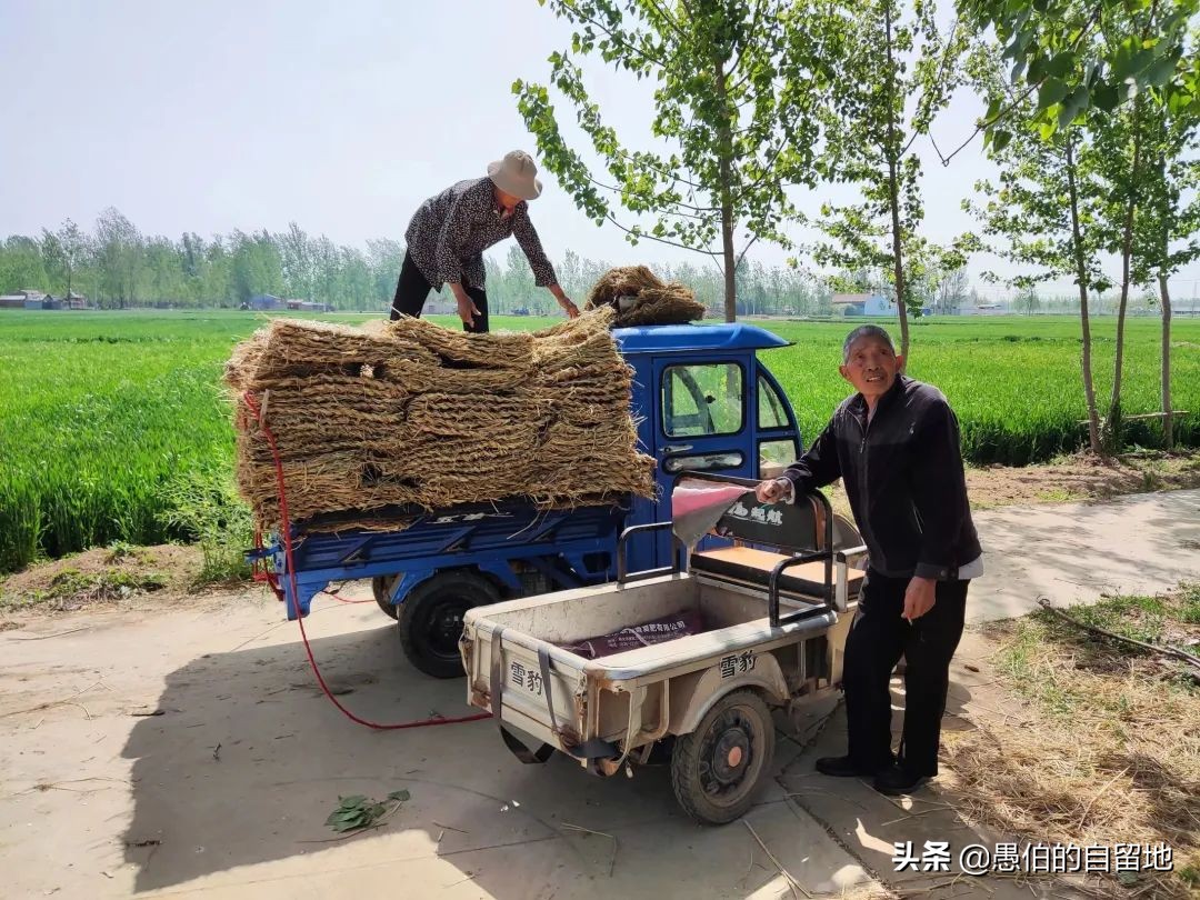 丰县土话有哪些,丰县方言和普通话区别