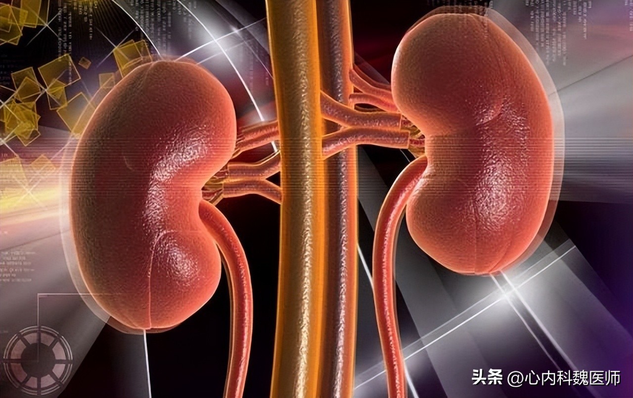 65岁老人常年吃氨氯地平，擅自换药肾衰竭！这些降压药知识需清楚