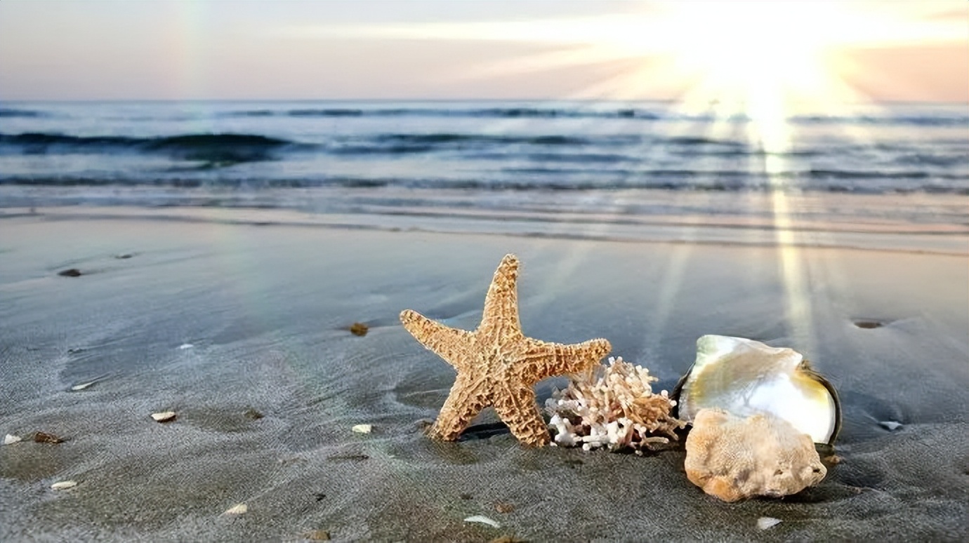 网瘾戒除中心、精神科医院和心理咨询，你怎么选择？