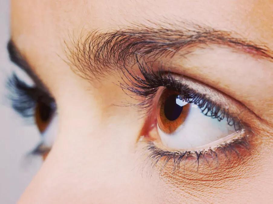 写一篇你的目光为题的作文600字,给你一双慧眼作文