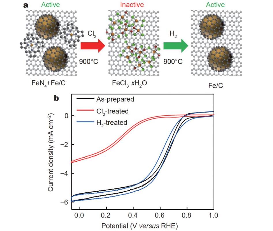 壳聚糖复合物的功效,壳聚糖复合物功效
