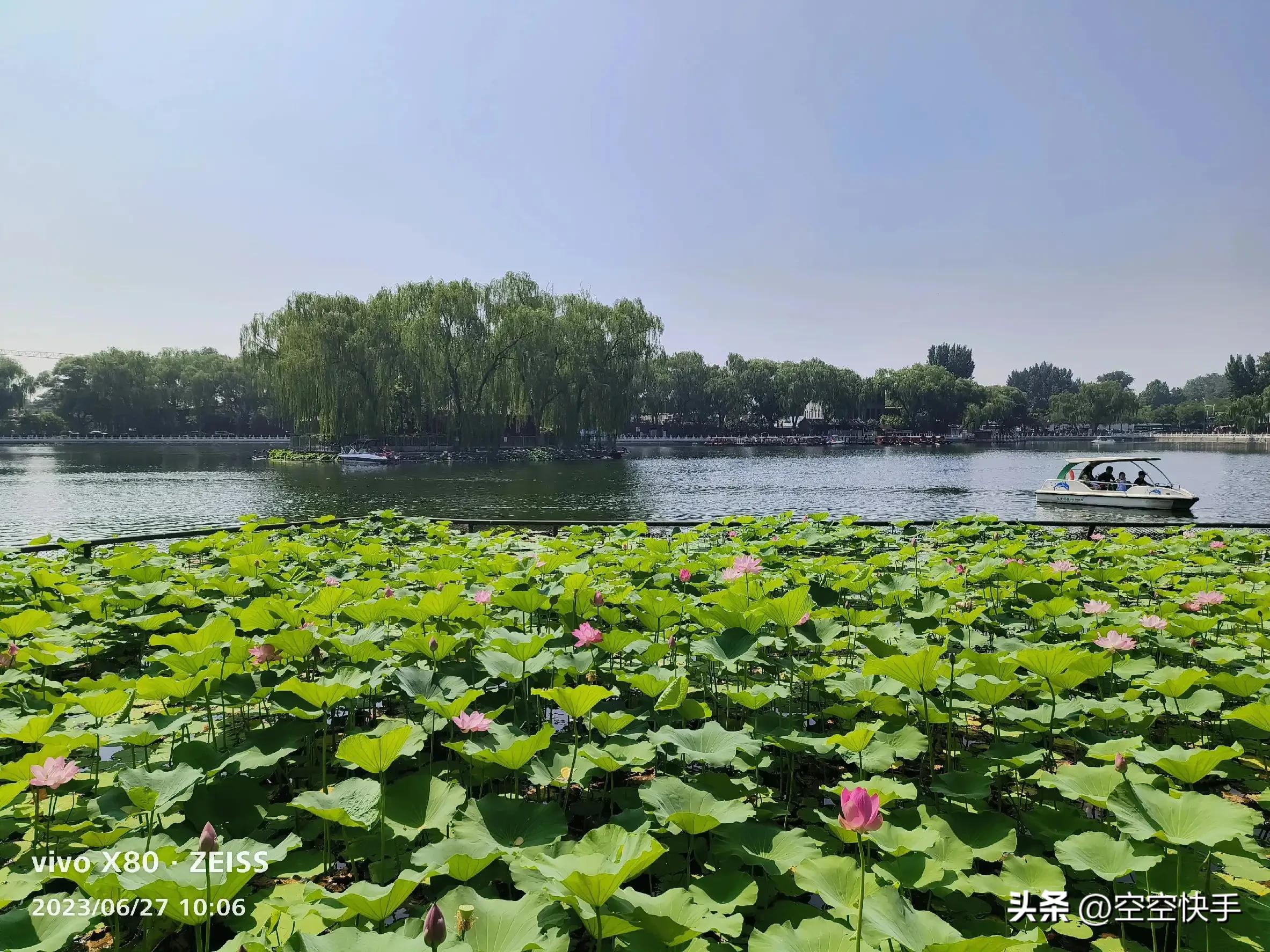 浜轰笌铓婂瓙鐢熸鍐虫垬,浜轰笌铓婄殑澶ф垬
